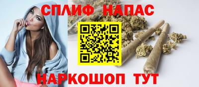 стаф Будённовск