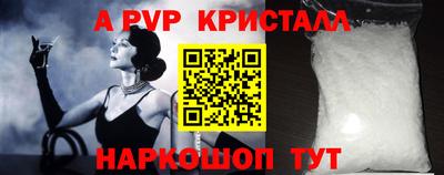 стаф Будённовск