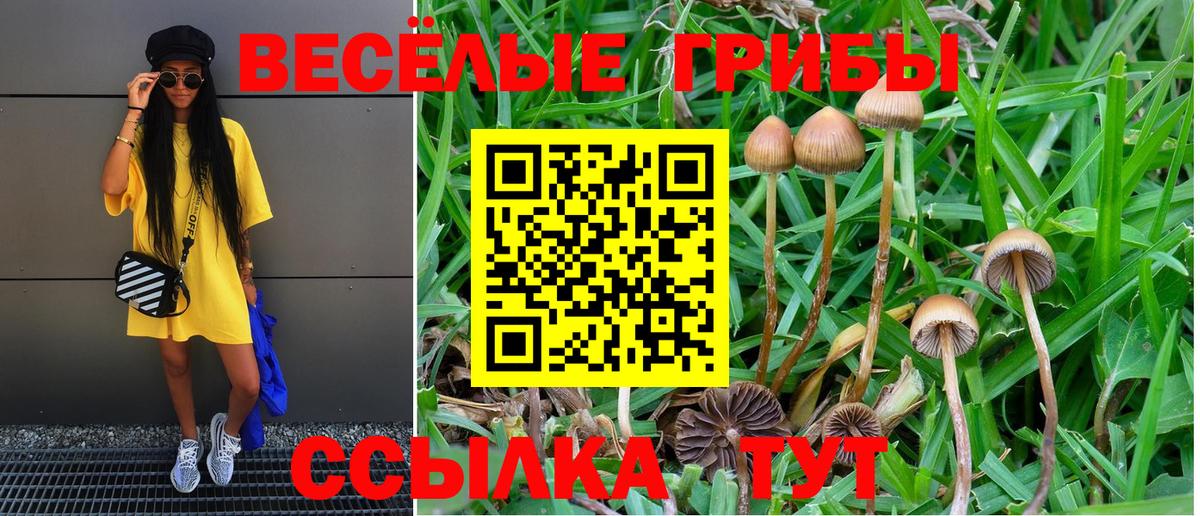 Людиново  Галлюциногенные грибы Magic Shrooms  как найти наркотики  Вход с VPN 