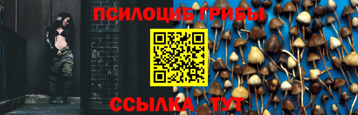 Галлюциногенные грибы Psilocybine cubensis Людиново